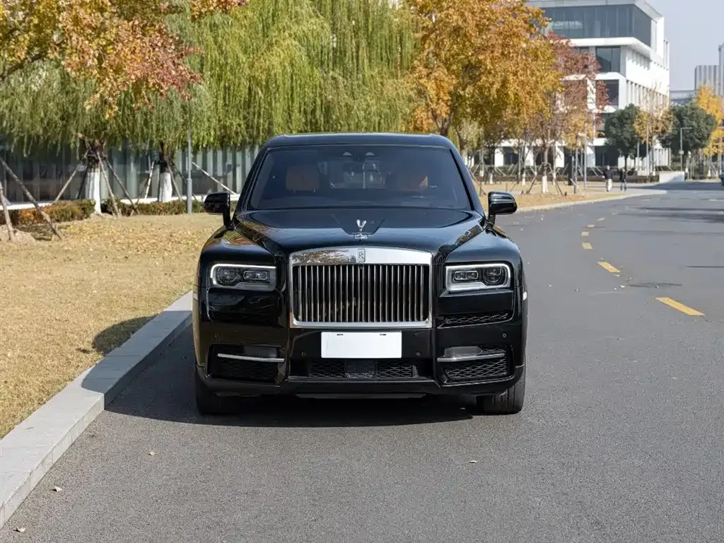 Rolls-Royce Cullinan 2022 из CN, фото 9