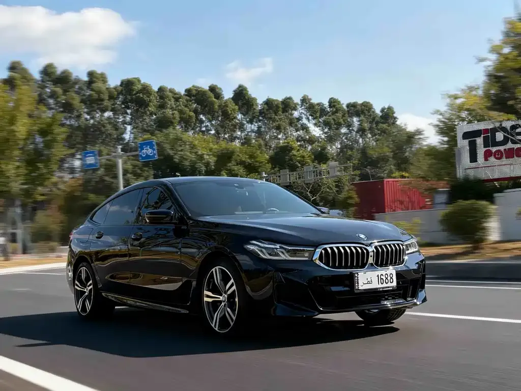 BMW 6 Series GT 2021 из CN, фото 8