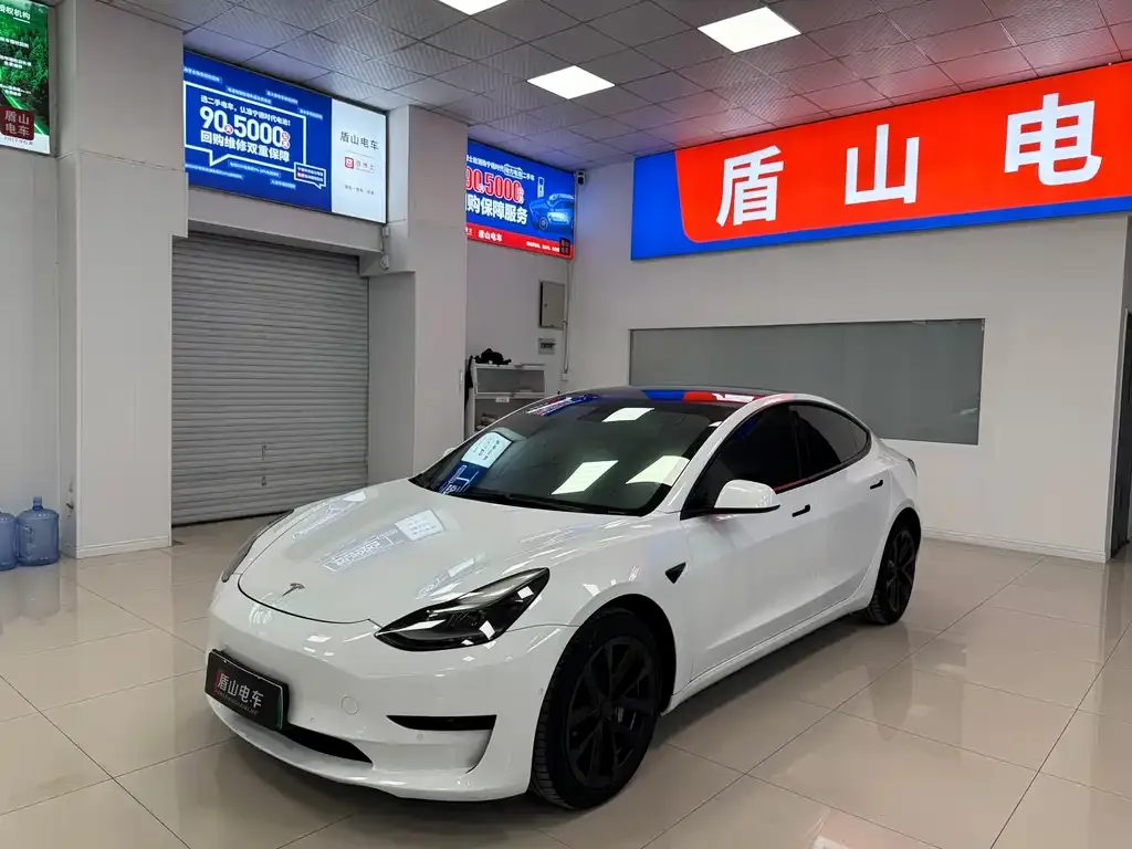 Tesla Model 3 2021 из CN, фото 1