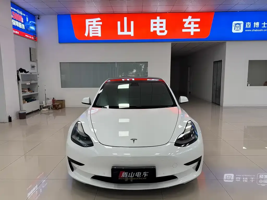 Tesla Model 3 2021 из CN, фото 6