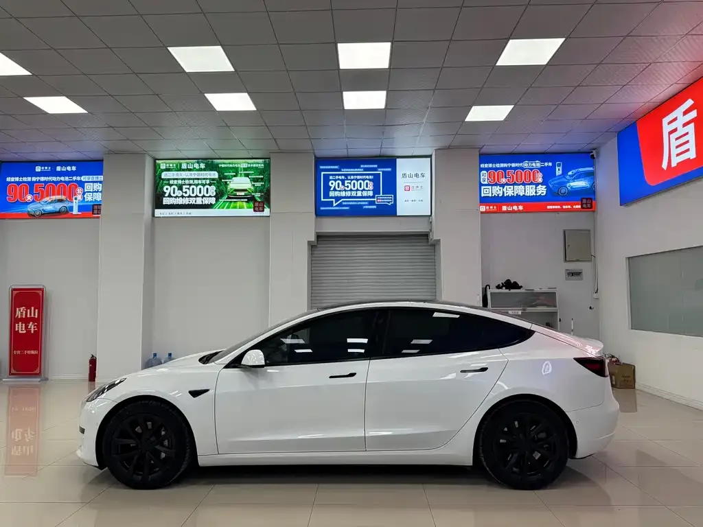 Tesla Model 3 2021 из CN, фото 3