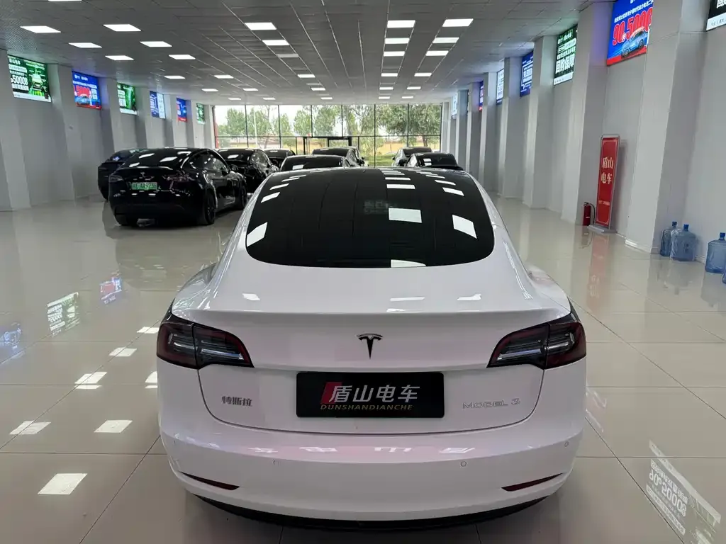 Tesla Model 3 2021 из CN, фото 2