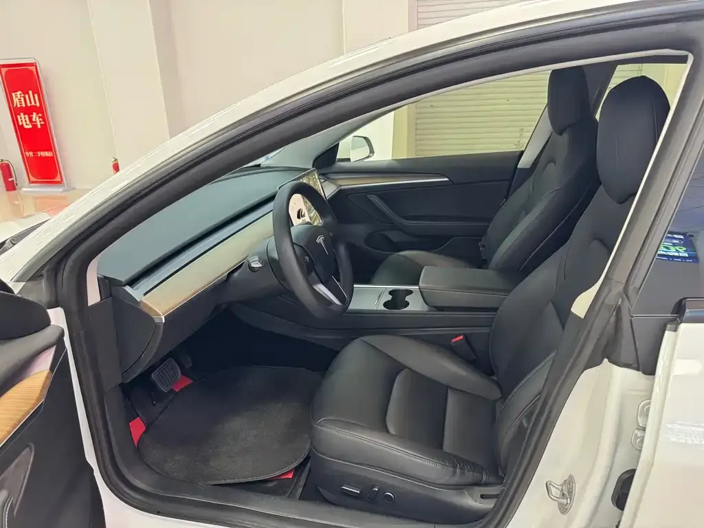 Tesla Model 3 2021 из CN, фото 5