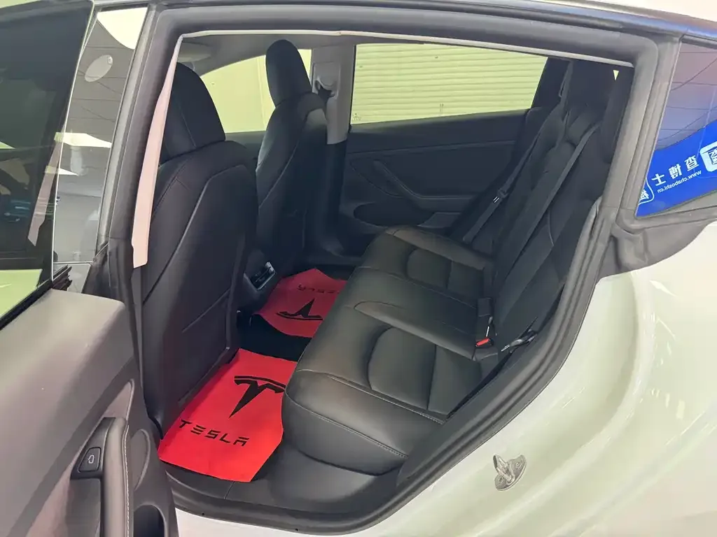 Tesla Model 3 2021 из CN, фото 9
