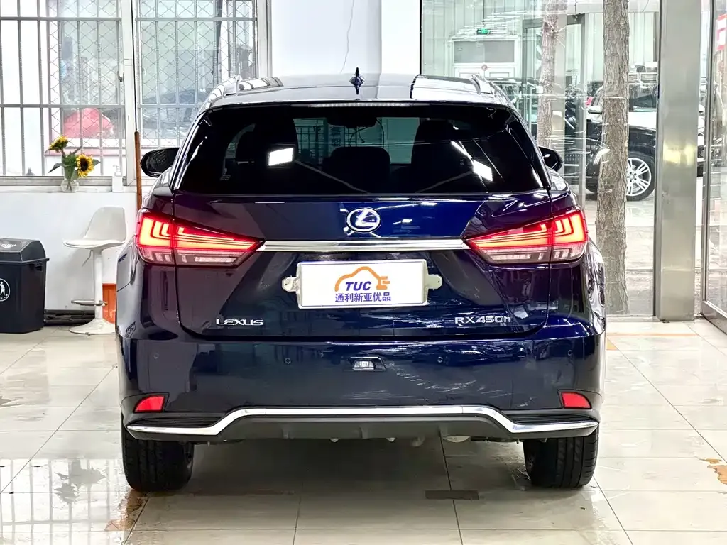 Lexus RX 2021 из CN, фото 3