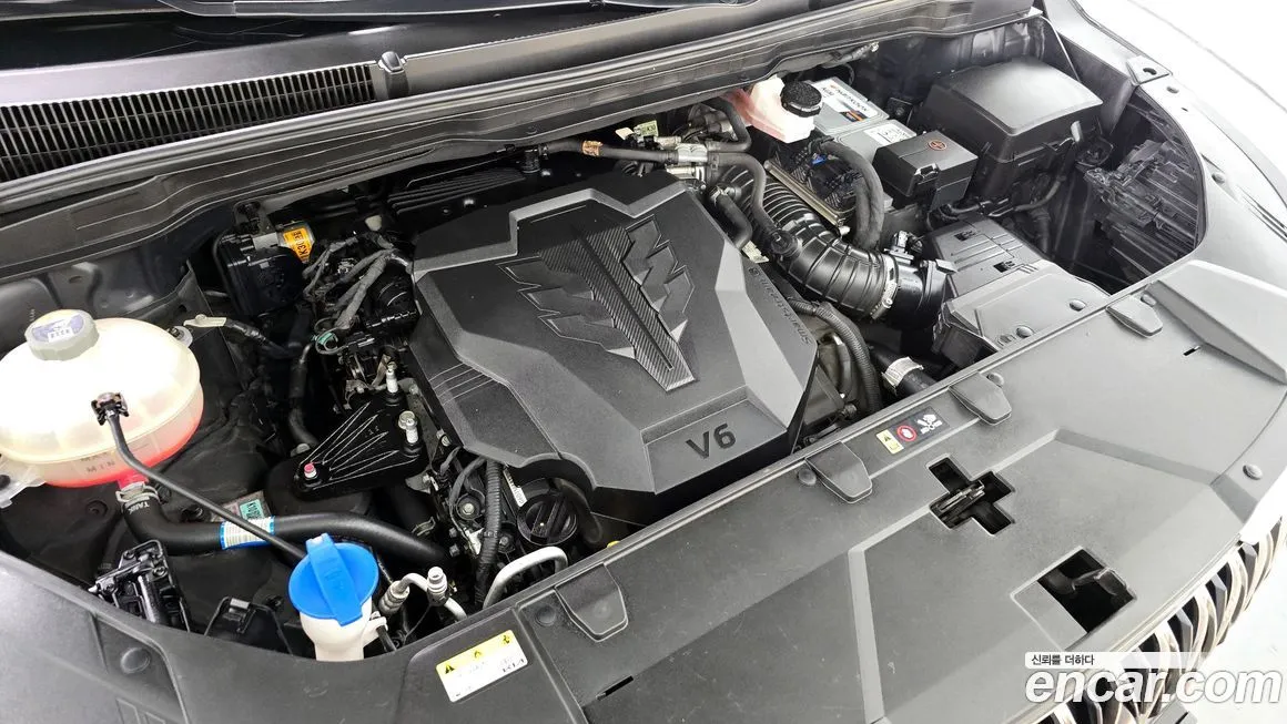 [object Object] Canival 2023 из KR, фото 6