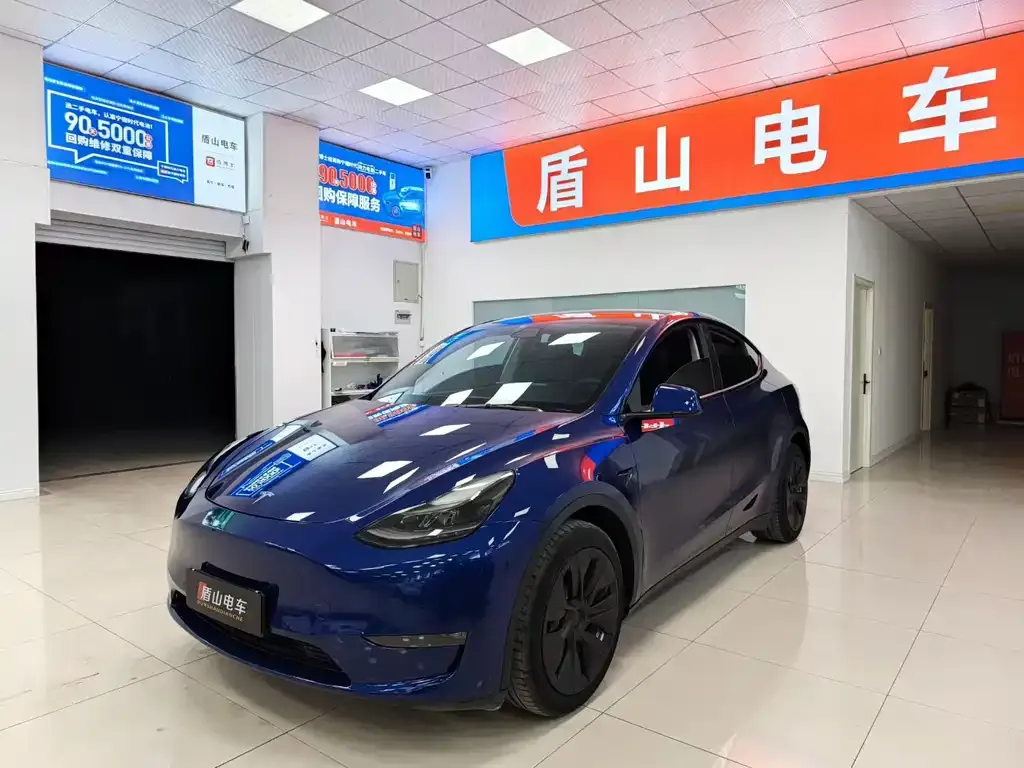 Tesla Model Y 2021 из CN, фото 1