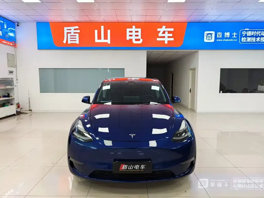 Tesla Model Y 2021 из CN, фото 4