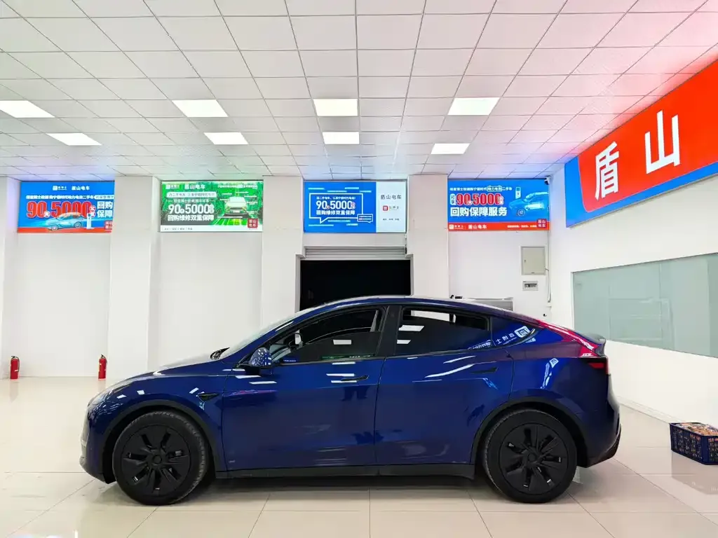 Tesla Model Y 2021 из CN, фото 8