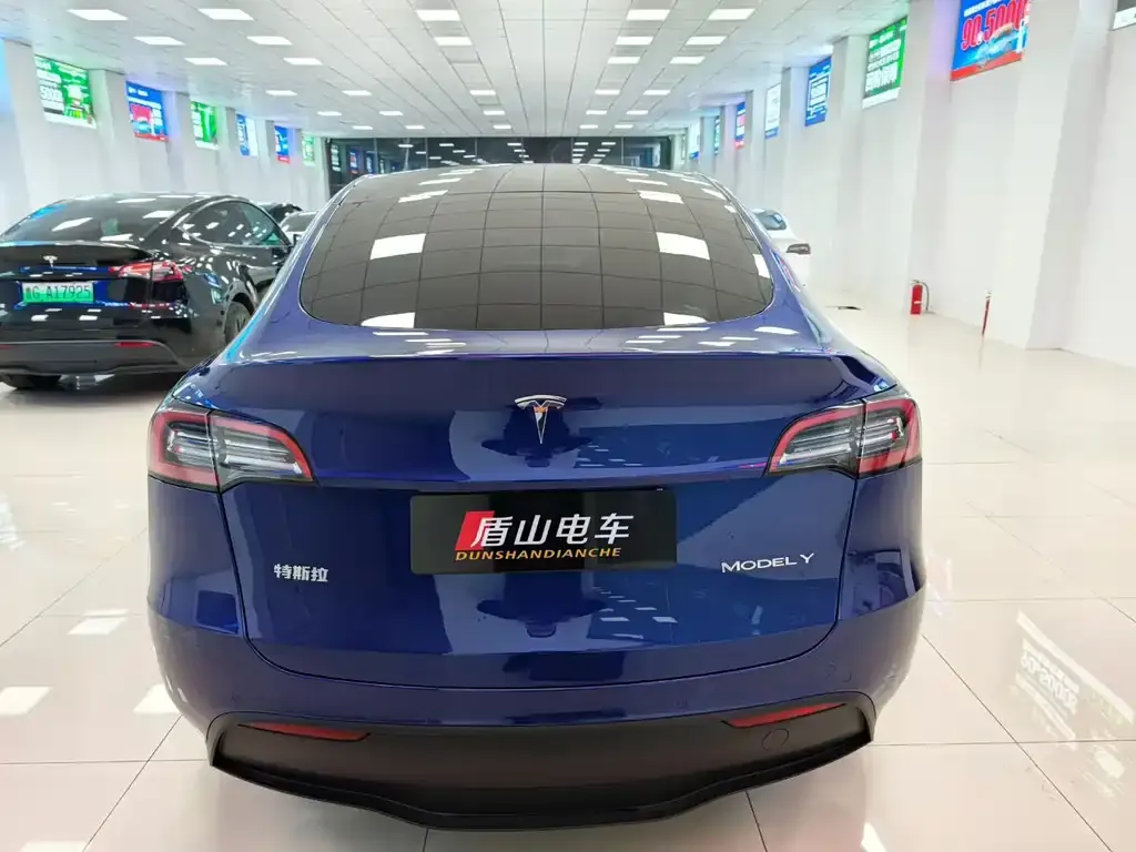 Tesla Model Y 2021 из CN, фото 5
