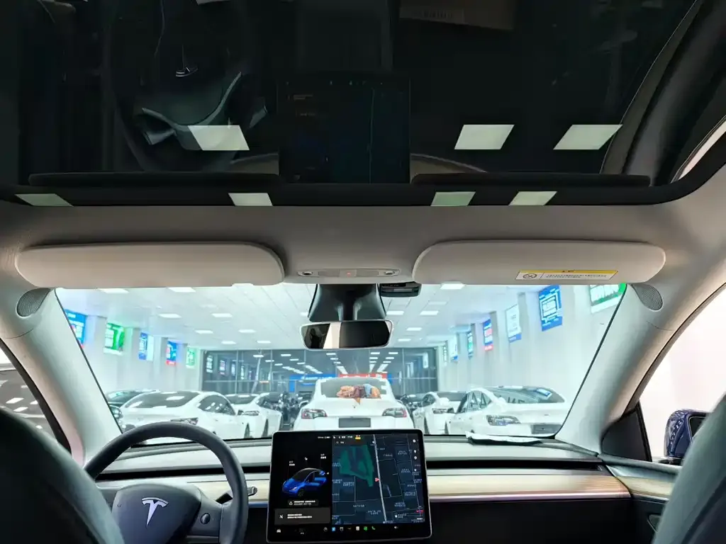 Tesla Model Y 2021 из CN, фото 3