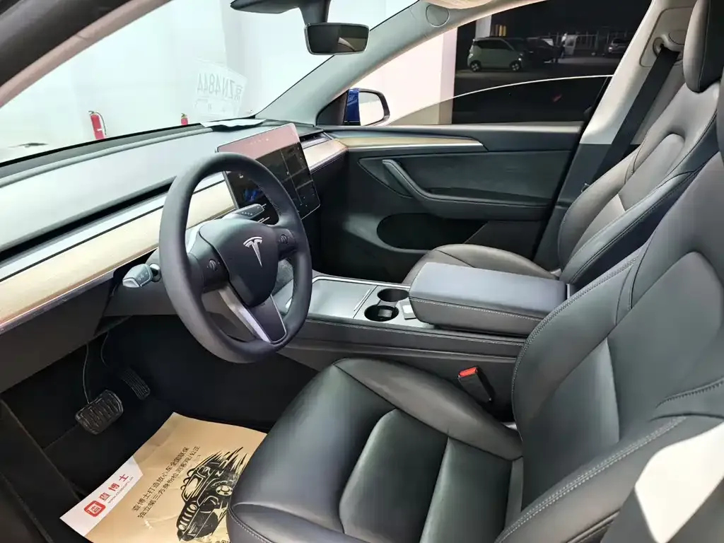 Tesla Model Y 2021 из CN, фото 6