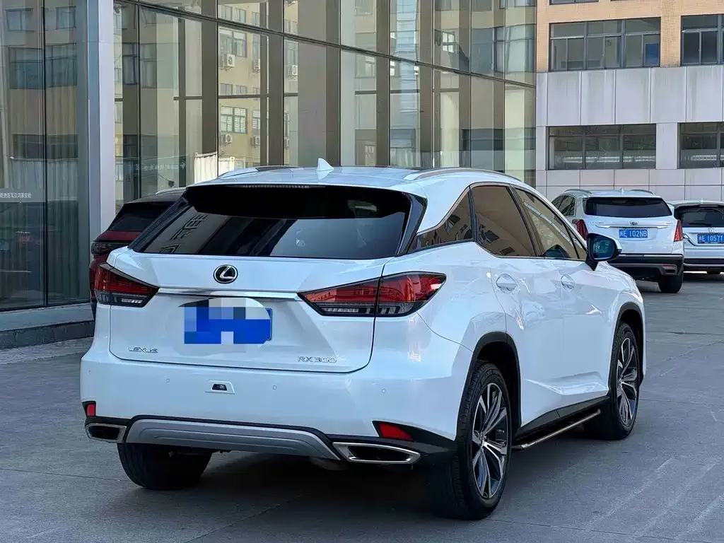Lexus RX 2021 из CN, фото 5