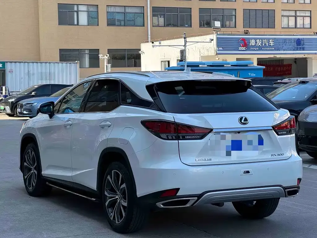 Lexus RX 2021 из CN, фото 9