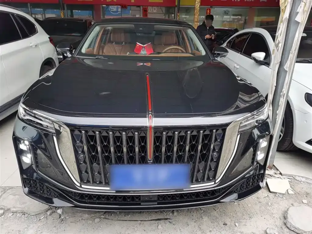 Hongqi H9 2024 из CN, фото 9
