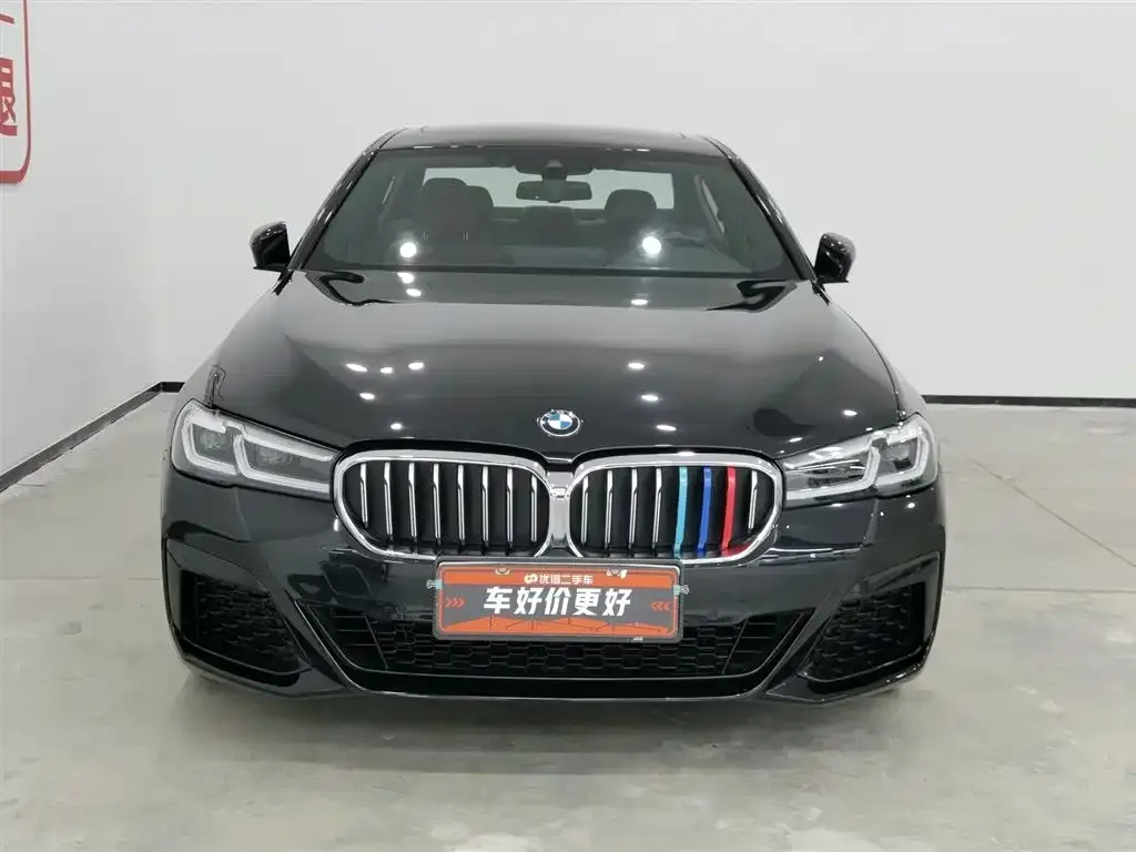 BMW 5 Series New Energy 2021 из CN, фото 6