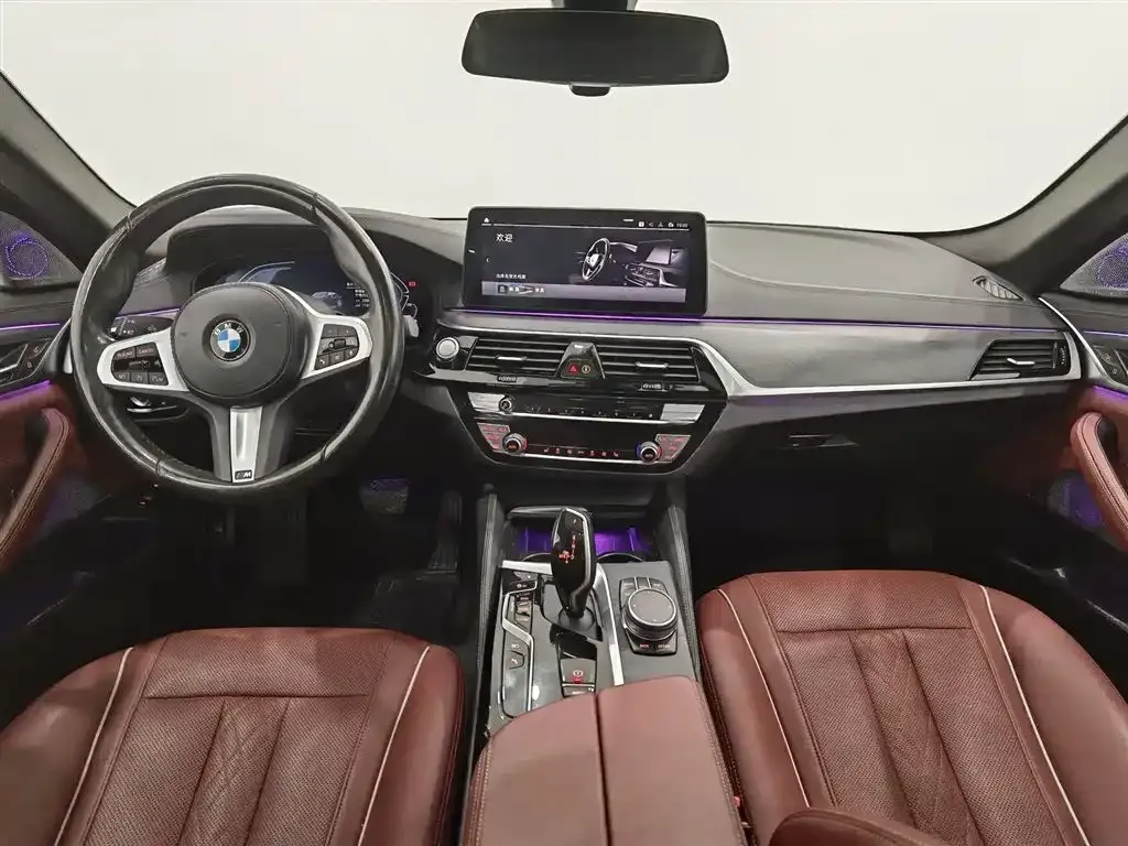 BMW 5 Series New Energy 2021 из CN, фото 10