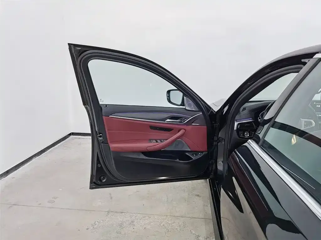 BMW 5 Series New Energy 2021 из CN, фото 5