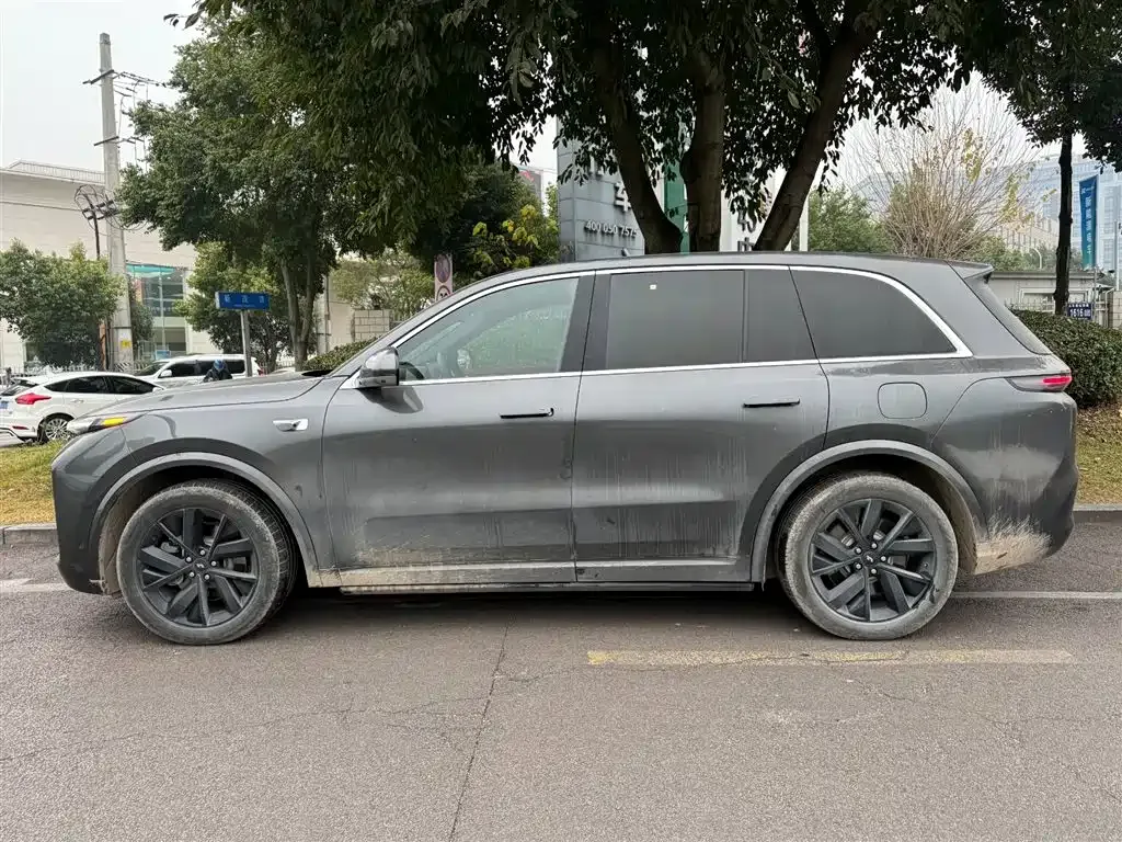 Li Auto L8 2023 из CN, фото 7