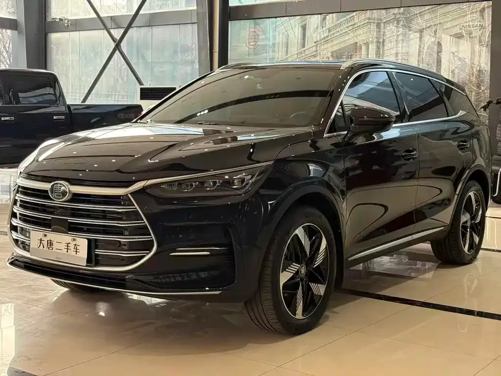 BYD Tang New Energy 2024 из CN, фото 1
