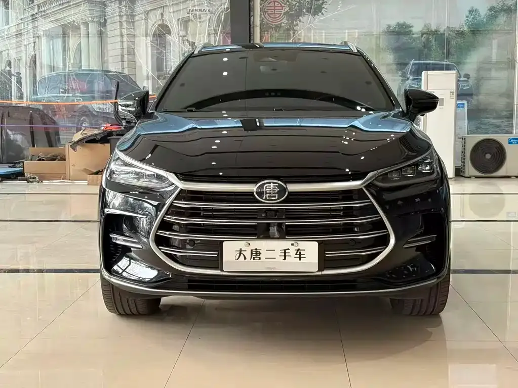 BYD Tang New Energy 2024 из CN, фото 2