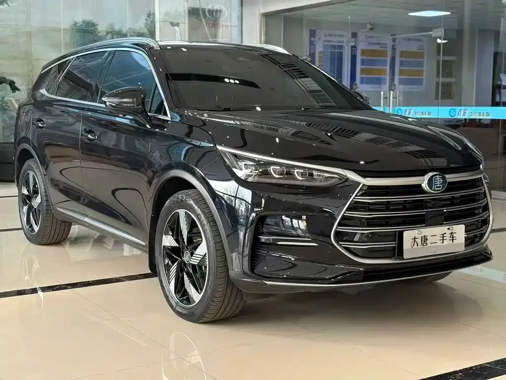 BYD Tang New Energy 2024 из CN, фото 7
