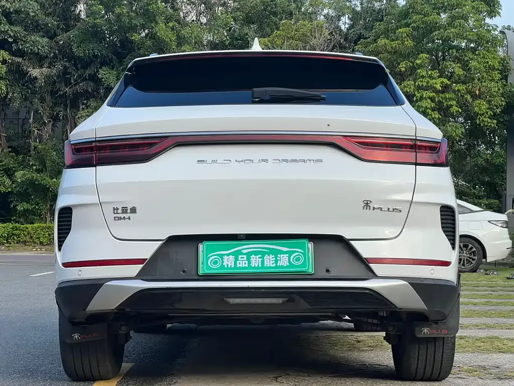 BYD PLUS New Energy — фото 6