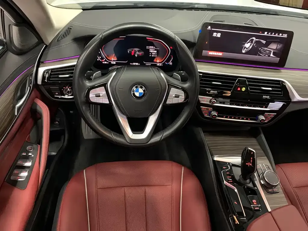 BMW 5 Series 2023 из CN, фото 5
