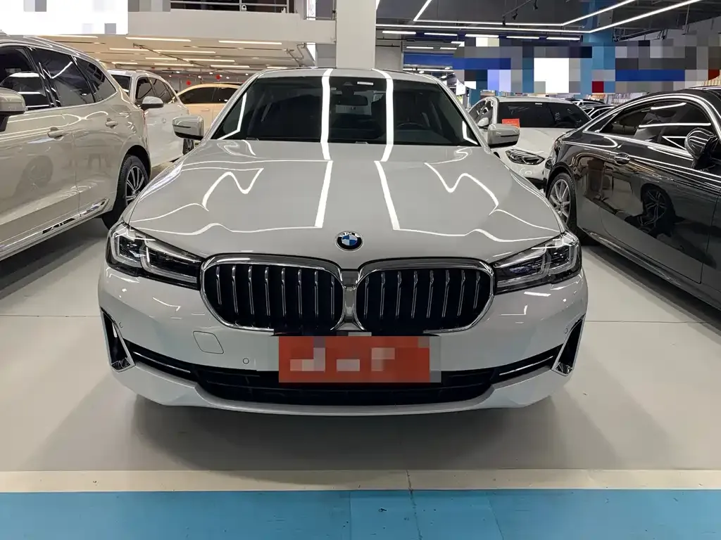 BMW 5 Series 2023 из CN, фото 10