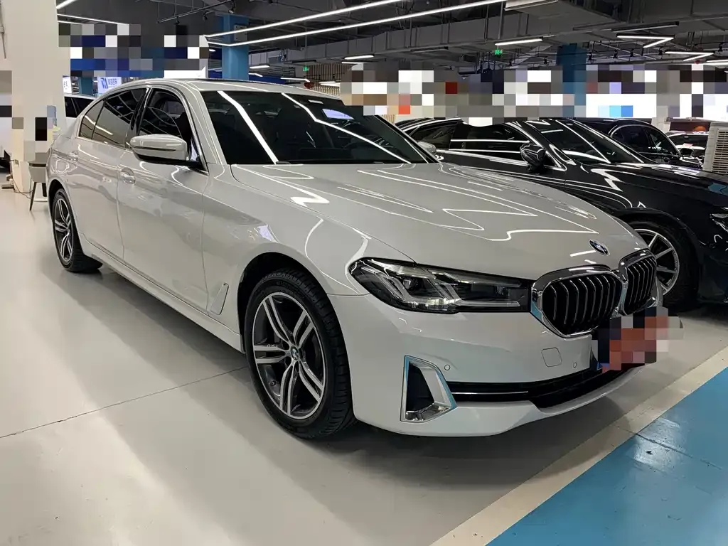 BMW 5 Series 2023 из CN, фото 9