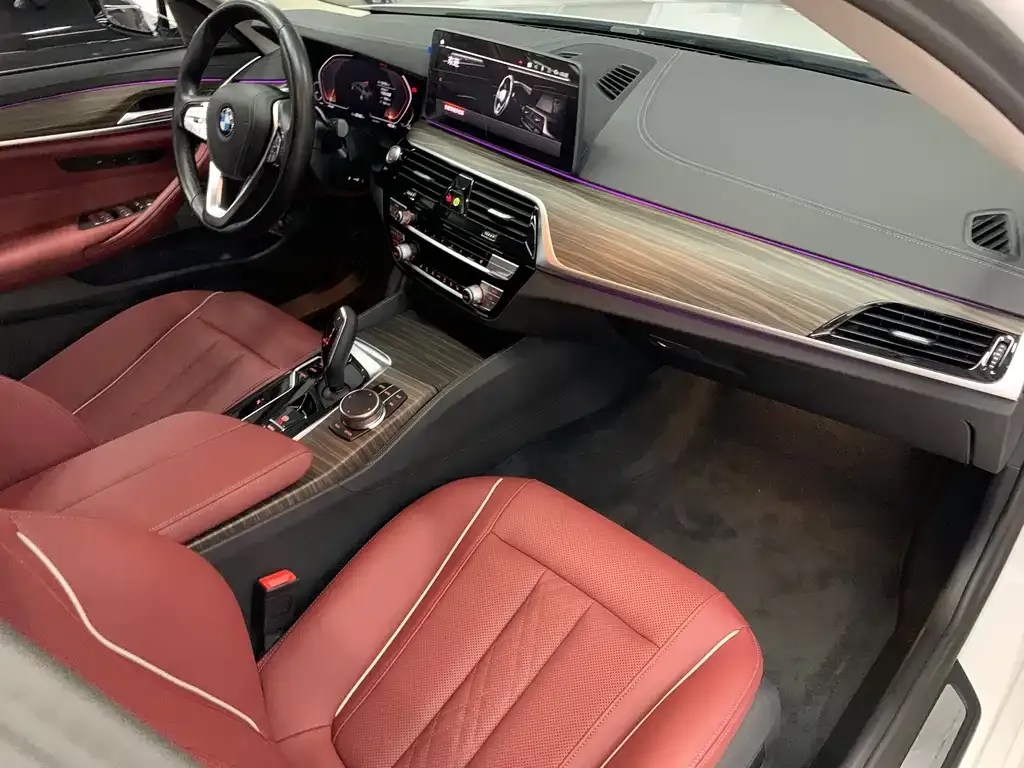 BMW 5 Series 2023 из CN, фото 8
