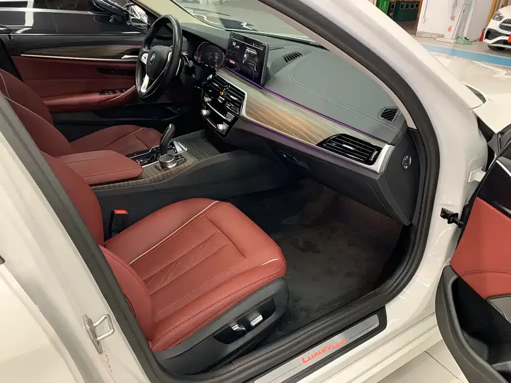 BMW 5 Series 2023 из CN, фото 7