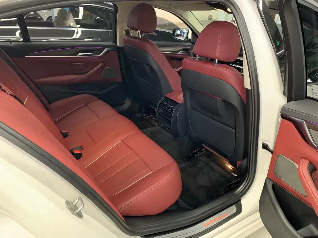 BMW 5 Series 2023 из CN, фото 6