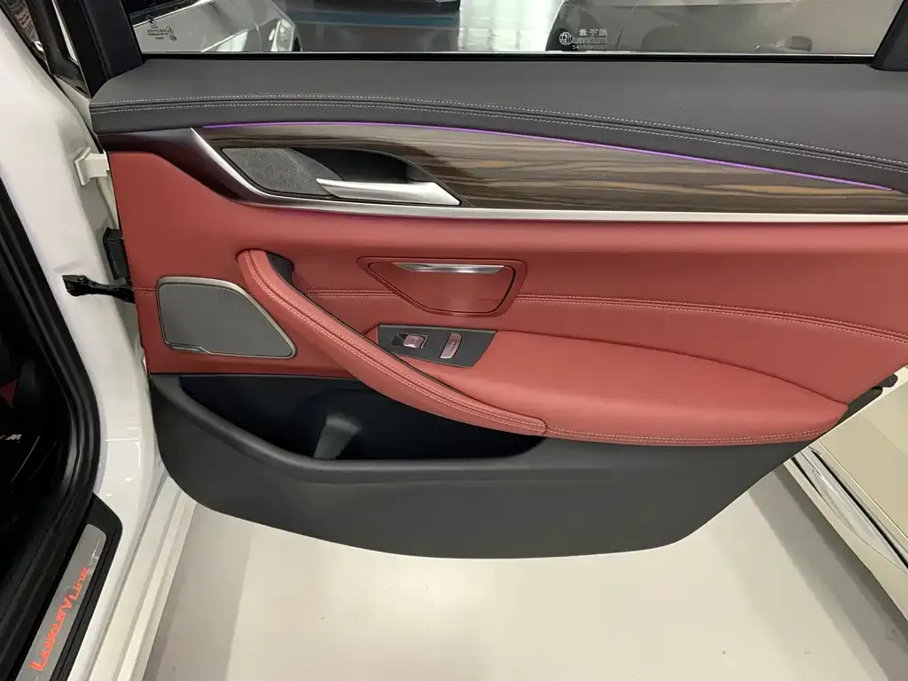 BMW 5 Series 2023 из CN, фото 3