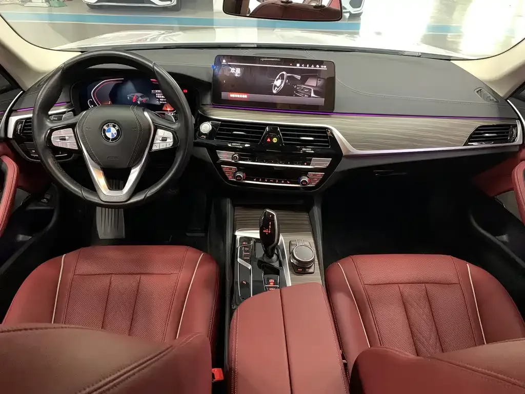BMW 5 Series 2023 из CN, фото 4
