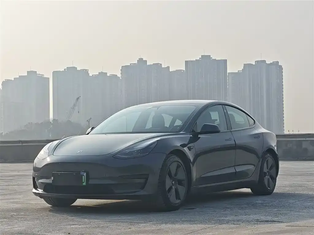 Tesla Model 3 2021 из CN, фото 1