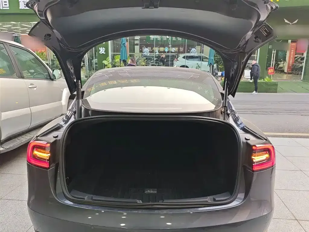 Tesla Model 3 2021 из CN, фото 10