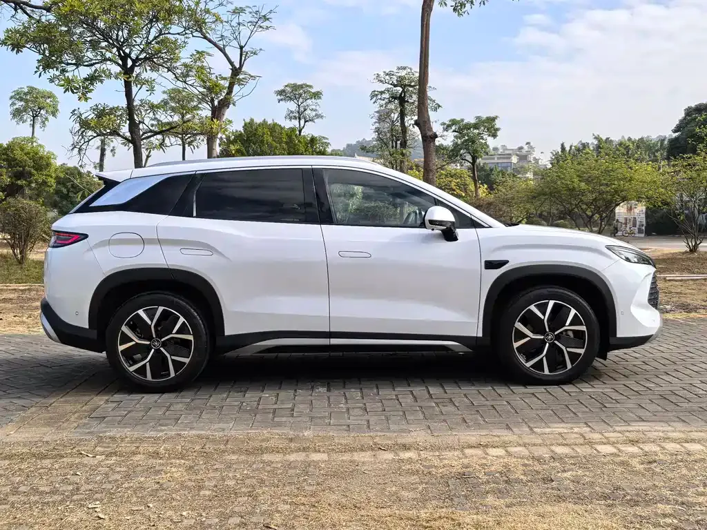BYD L DM-i 2025 из CN, фото 10