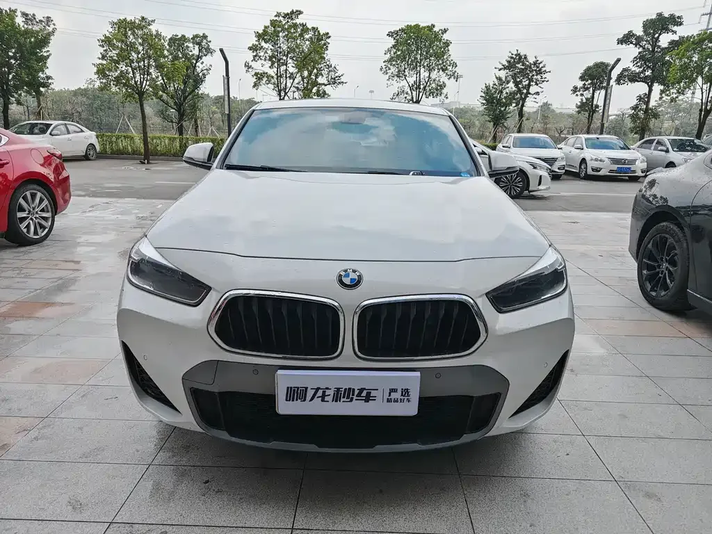 BMW X2 2021 из CN, фото 4