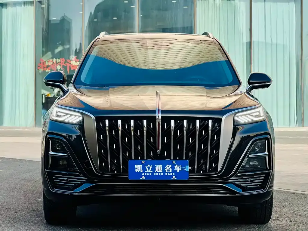 Hongqi HS5 2024 из CN, фото 6