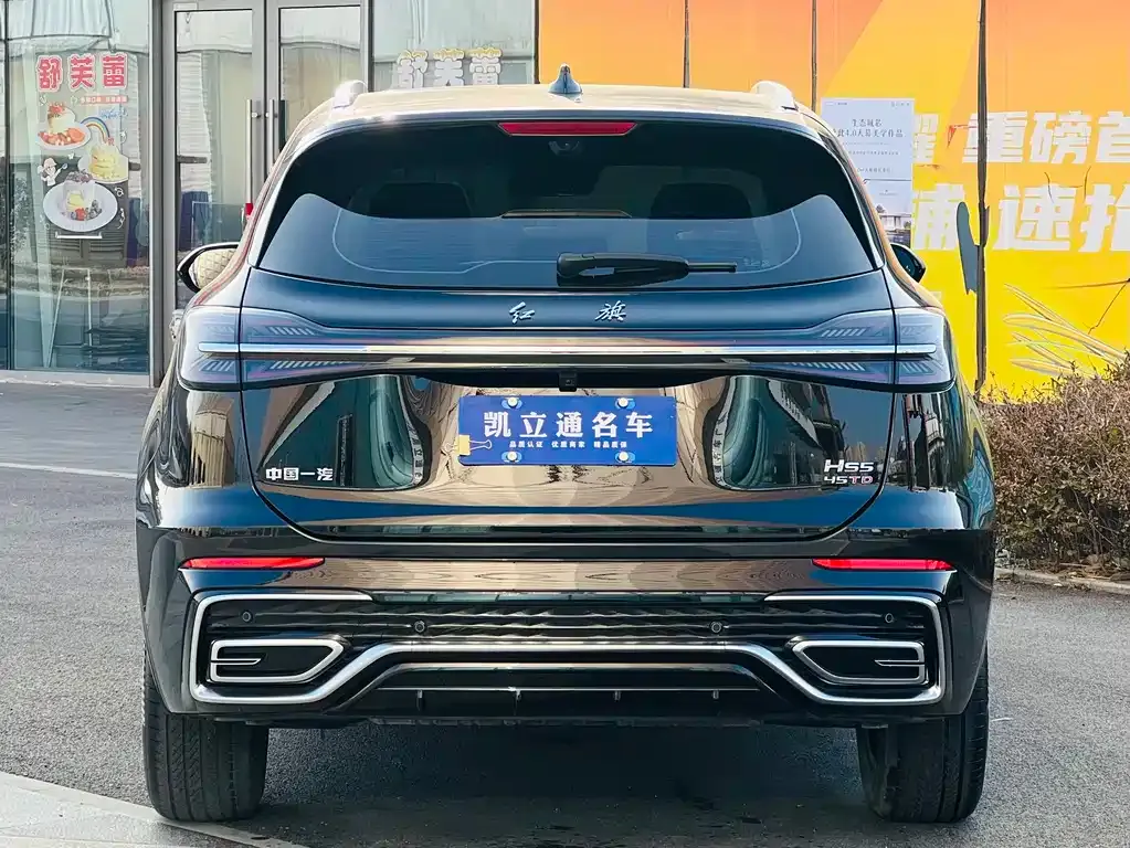 Hongqi HS5 2024 из CN, фото 4