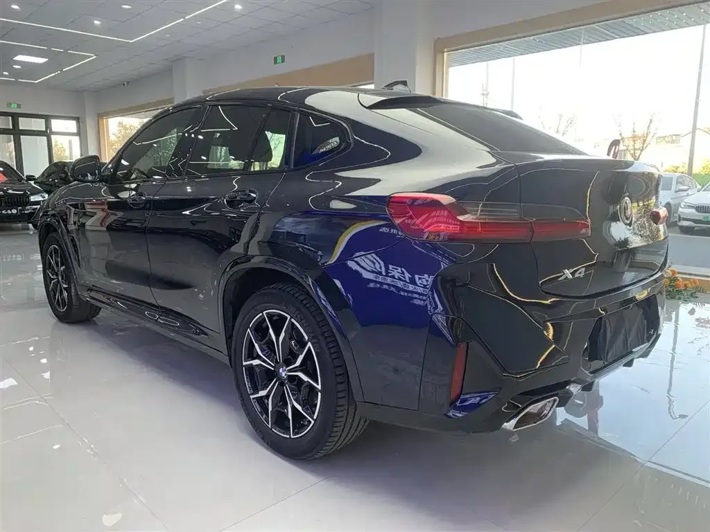 BMW X4 2022 из CN, фото 7