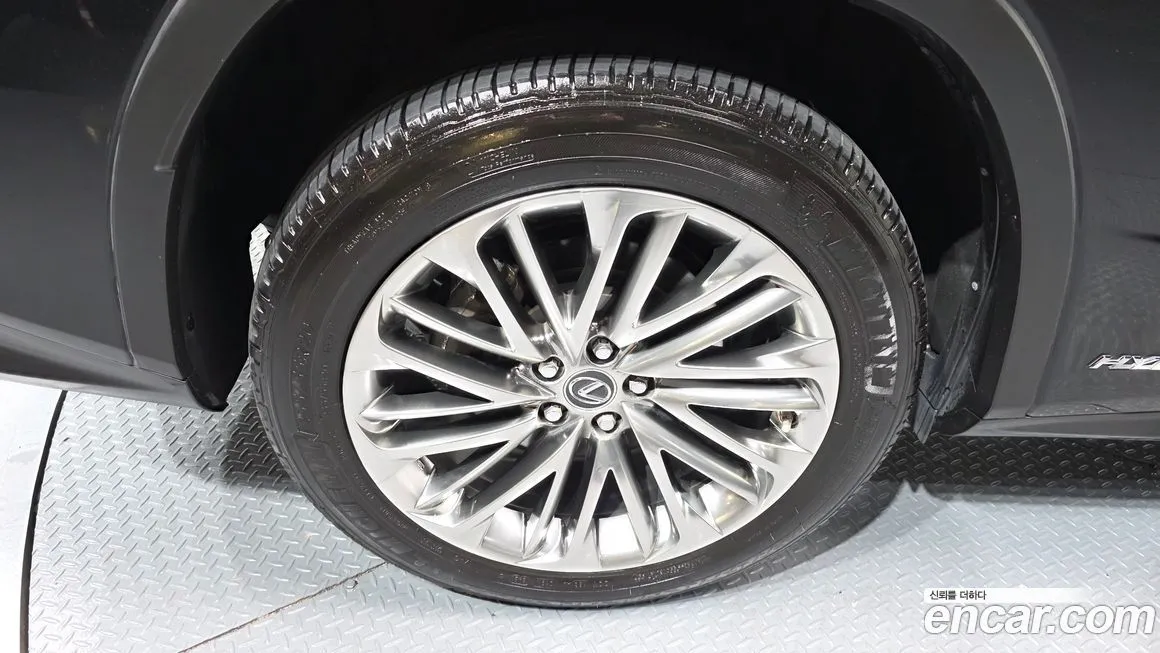 Lexus RX 2022 из KR, фото 10