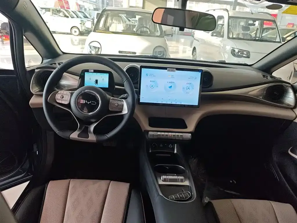 [object Object] Dolphin 2025 из CN, фото 10