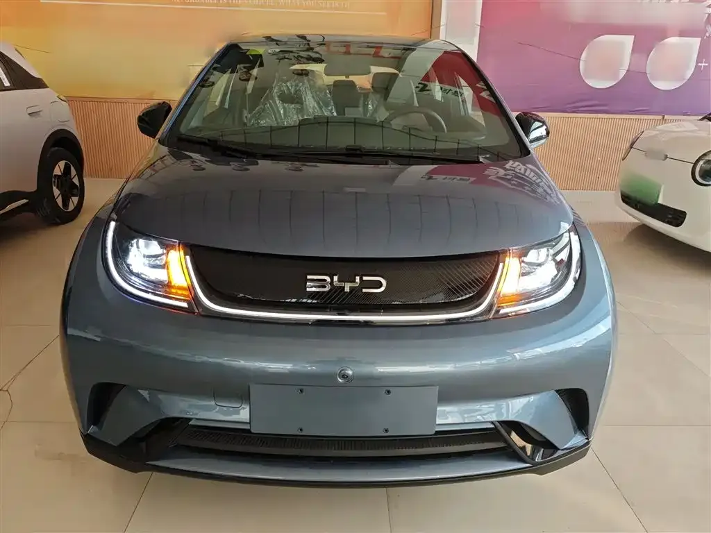 [object Object] Dolphin 2025 из CN, фото 3