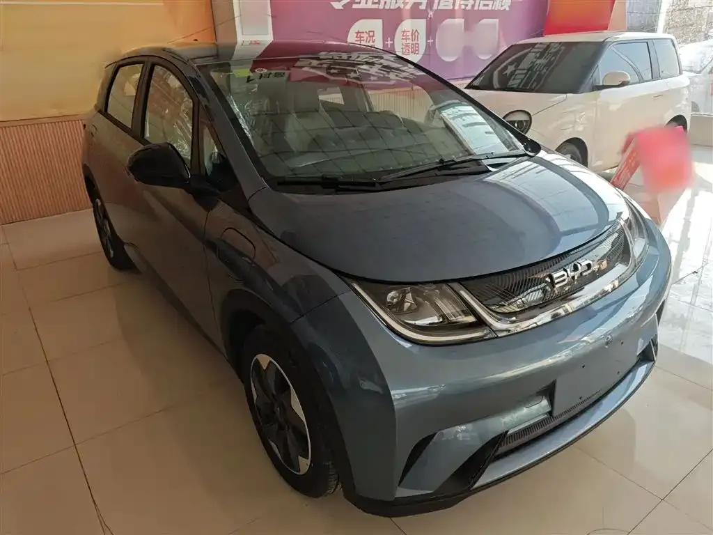 [object Object] Dolphin 2025 из CN, фото 4