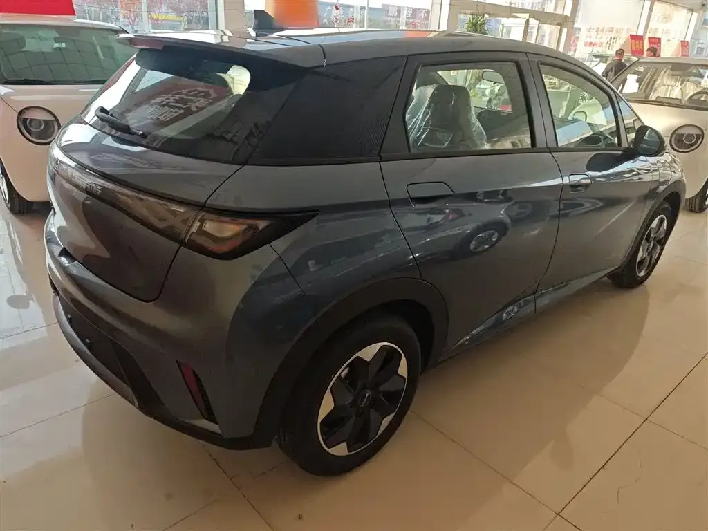 [object Object] Dolphin 2025 из CN, фото 7