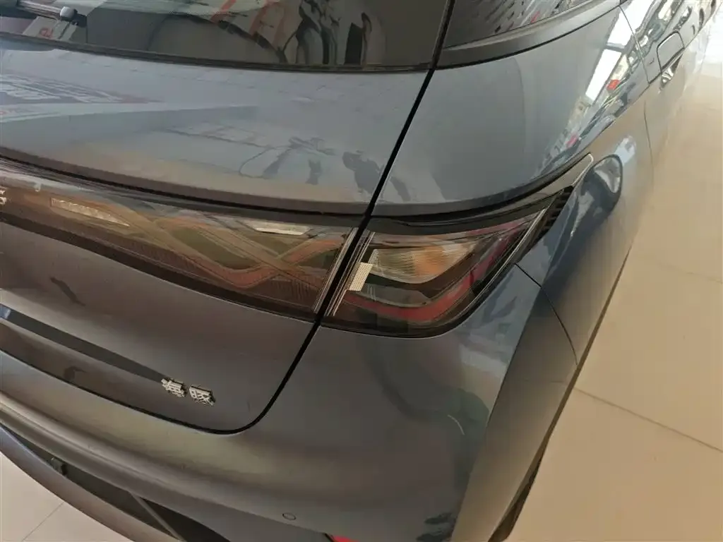 [object Object] Dolphin 2025 из CN, фото 8