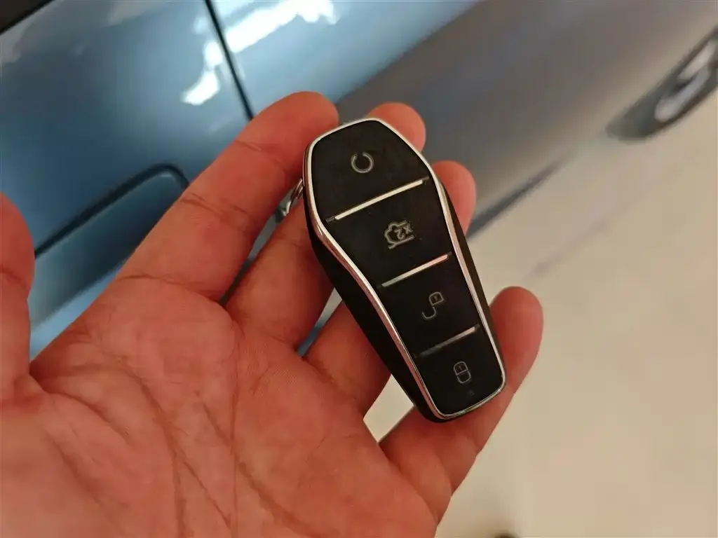 [object Object] Dolphin 2025 из CN, фото 9