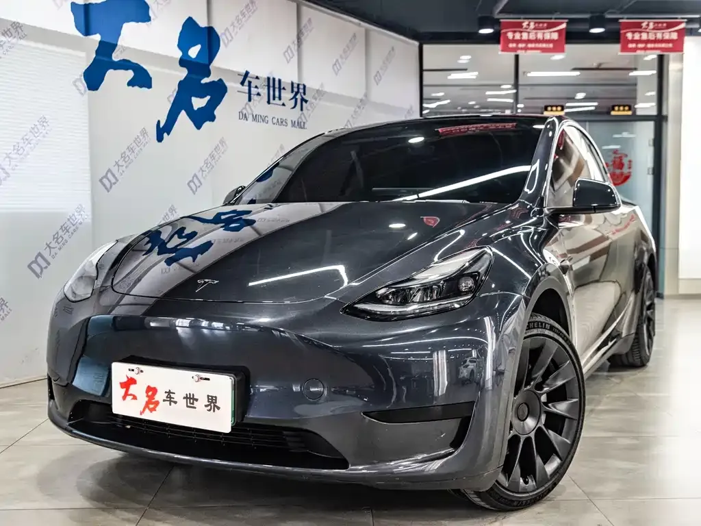 Tesla Model Y — фото 1